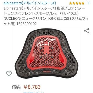 アルパインスターズ　胸部プロテクター(装備/装具)