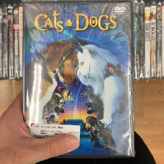 キャッツ＆ドッグス　特別版 DVD(舞台/ミュージカル)