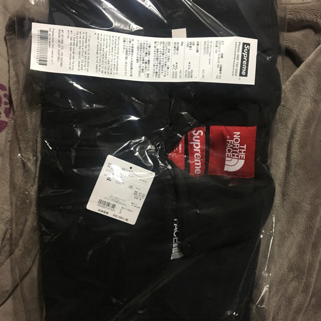 メンズsupreme the north face