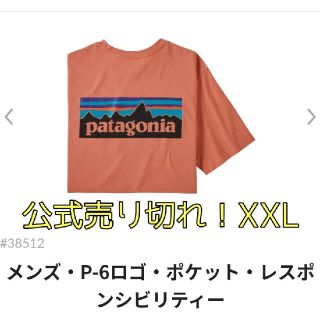 パタゴニア(patagonia)のPatagonia★P6 ロゴ ポケット付き Tee XXL(Tシャツ/カットソー(半袖/袖なし))