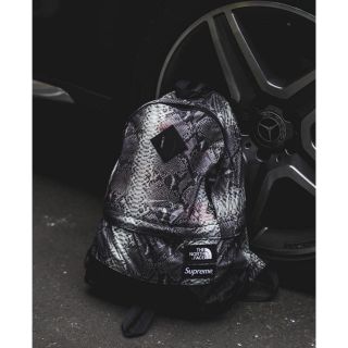 シュプリーム(Supreme)のSupreme The North Face Snakeskin バックパック(バッグパック/リュック)