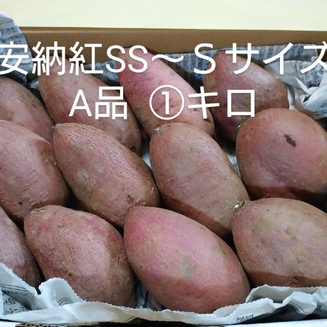 安納芋紅 SS～Sサイズ 1キロ 食品/飲料/酒の食品(野菜)の商品写真