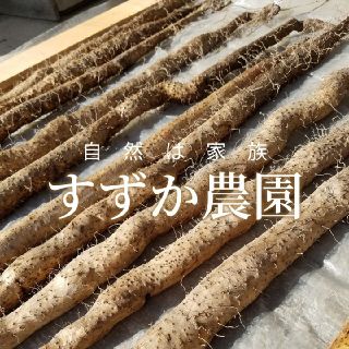 自然薯～300グラム～(野菜)