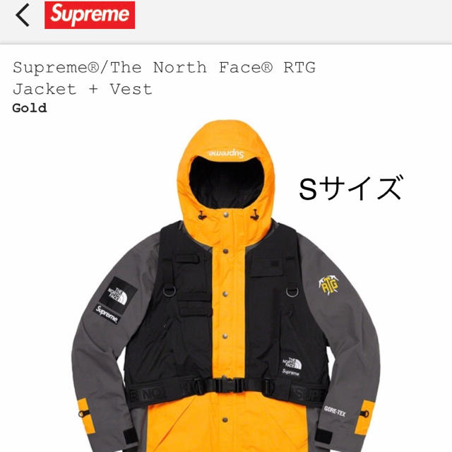 Supreme × THE NORTH FACE RTG jacket vest