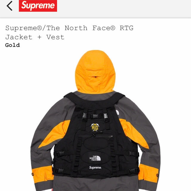 Supreme(シュプリーム)のSupreme × THE NORTH FACE RTG jacket vest メンズのジャケット/アウター(マウンテンパーカー)の商品写真