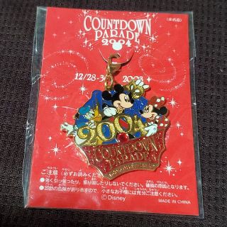 ディズニー(Disney)のディズニーランド 非売品 チャーム(キャラクターグッズ)