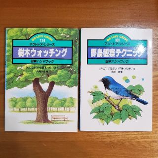 樹木ウォッチング　野鳥観察テクニック(趣味/スポーツ/実用)