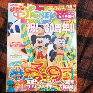 ディズニー(Disney)のディズニー　ディズニーファン　30周年(アート/エンタメ/ホビー)