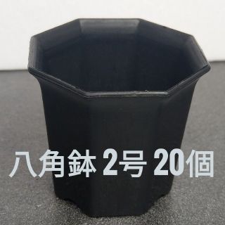 ◎20個◎ 黒 ブラック 2号 2寸 6cm プラ鉢八角鉢(その他)