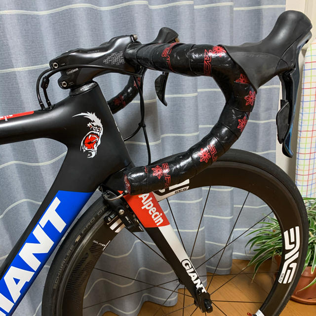 専用　GIANT PROPEL ADVANCED SL TEAM ケースあり