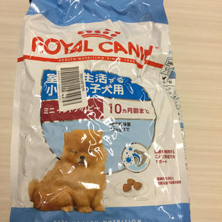 ロイヤルカナン(ROYAL CANIN)のロイヤルカナンインドアパピー　10ヶ月齢まで　　2キロ　新品(犬)