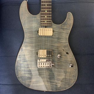 アイバニーズ(Ibanez)のt‘s guitars  dx22(エレキギター)