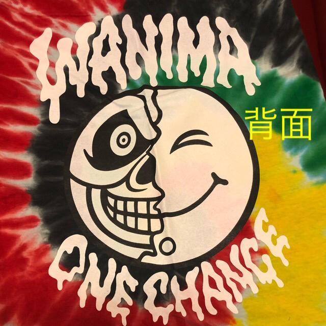 最終値下げ！まとめ売り！WANIMA.Tシャツ エンタメ/ホビーのタレントグッズ(ミュージシャン)の商品写真