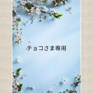 タティングレース　新しい世界　手芸本(住まい/暮らし/子育て)