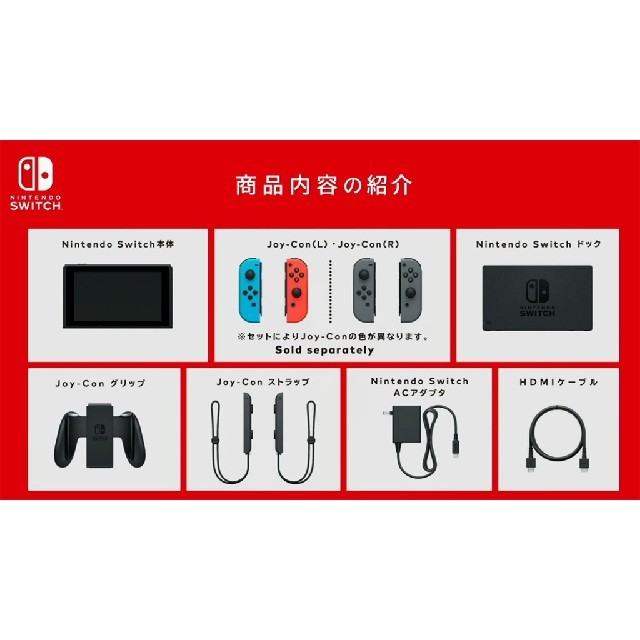 Nintendo Switch JOY-CON グレー 本体  HAC-S-KA