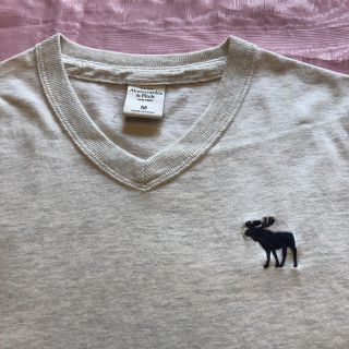 アバクロンビーアンドフィッチ(Abercrombie&Fitch)のアバクロンビー&フィッチ　メンズTシャツ　Vネック　Mサイズ(Tシャツ/カットソー(半袖/袖なし))