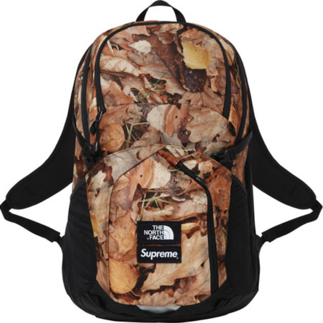 supreme the north face backpack 枯葉