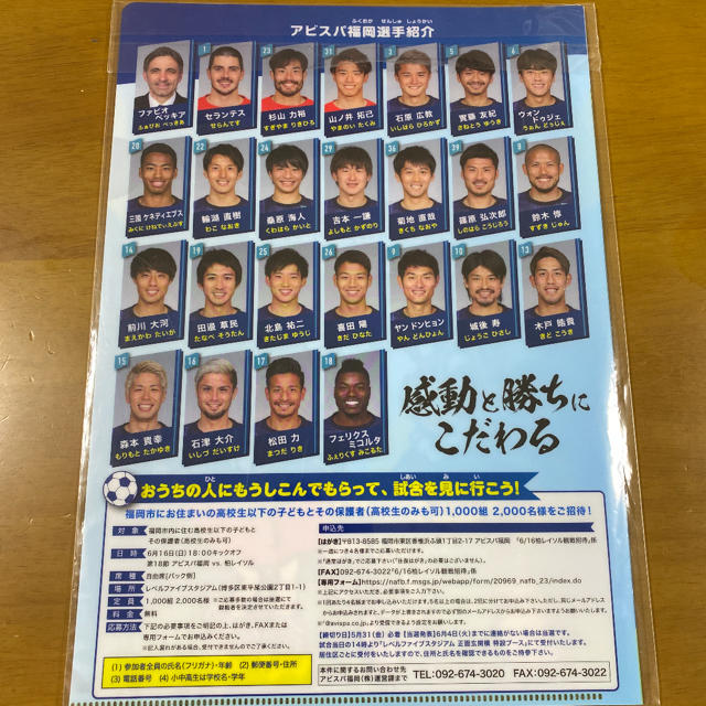 Avispa福岡　クリアファイル チケットのスポーツ(サッカー)の商品写真