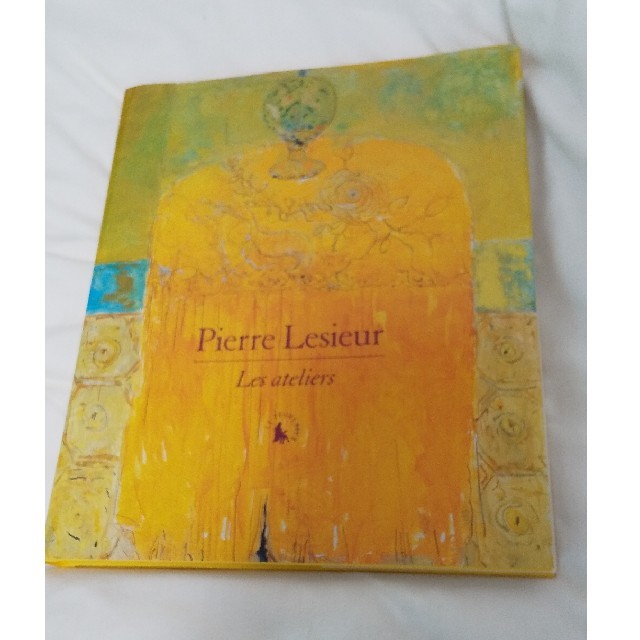 Pierre Lesieur  画集 エンタメ/ホビーの本(アート/エンタメ)の商品写真