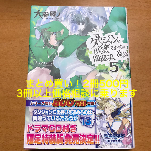 ダンジョンに出会いを求めるのは間違っているだろうか ５ エンタメ/ホビーの本(文学/小説)の商品写真