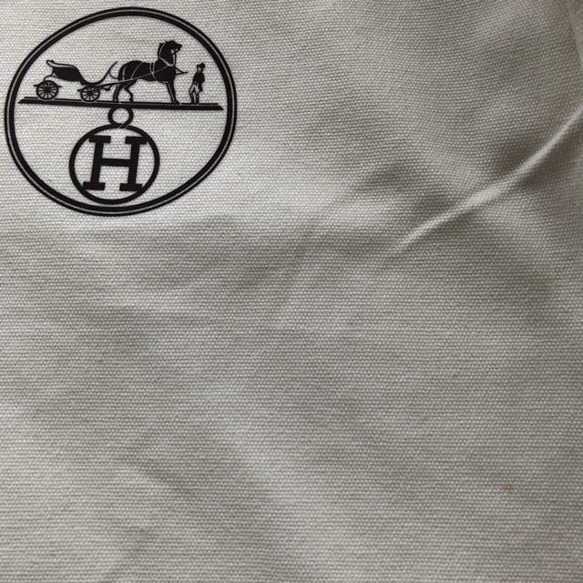 Hermes(エルメス)の新品未使用　エルメスガーメントバッグ  ガーメントケース　長丈用 メンズのバッグ(トラベルバッグ/スーツケース)の商品写真