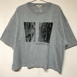 スタディオクリップ(STUDIO CLIP)のフォトプリントTシャツ(Tシャツ(半袖/袖なし))