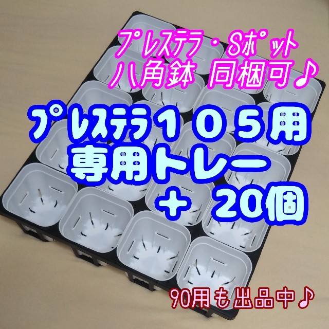 【スリット鉢】プレステラ105白20個 ＋ 専用システムトレー黒1枚 多肉植物 ハンドメイドのフラワー/ガーデン(プランター)の商品写真