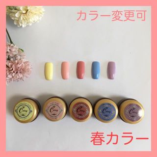 【カラー変更可】春カラー カラージェル ジェルネイル(カラージェル)