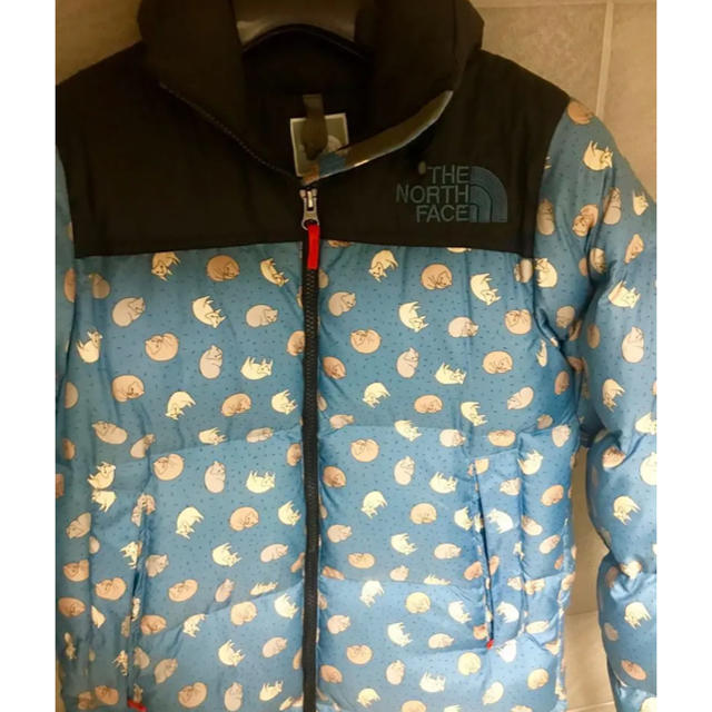 mina perhonen - ミナペルホネンx north face コラボ ダウンの mina perhonen - ミナペルホネンx north face コラボ ダウンの