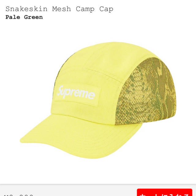 20ss Supreme Snakeskin Mesh Cam Cap