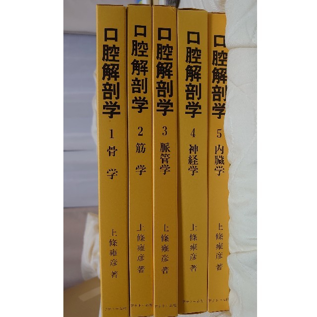 口腔解剖学 アナトーム社-