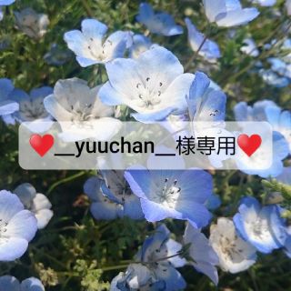 ☆＿yuuchan＿様専用☆(ショルダーバッグ)