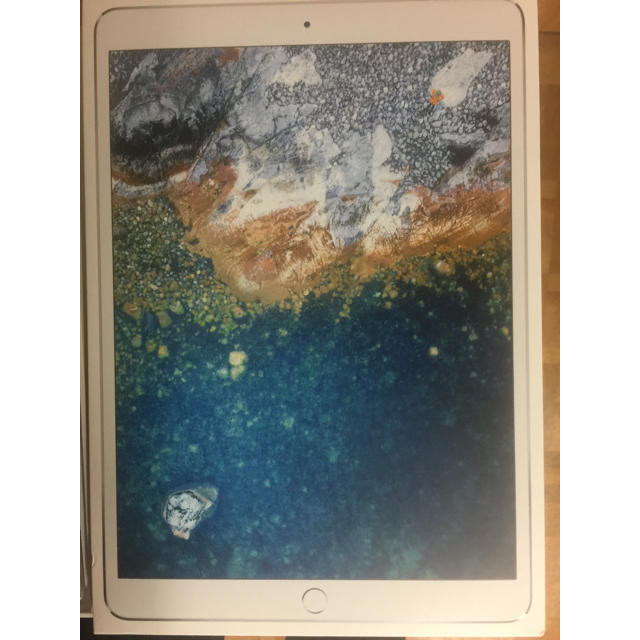 超美品 SIMフリー iPad Pro 10.5インチ 256GB シルバー