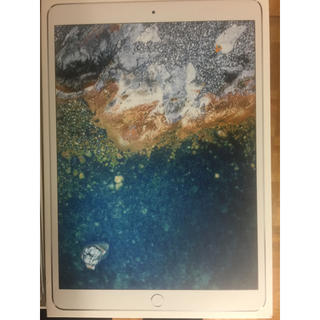 Apple - SIMフリー iPad Pro 10.5インチ 256GB シルバーの通販 by まる ...