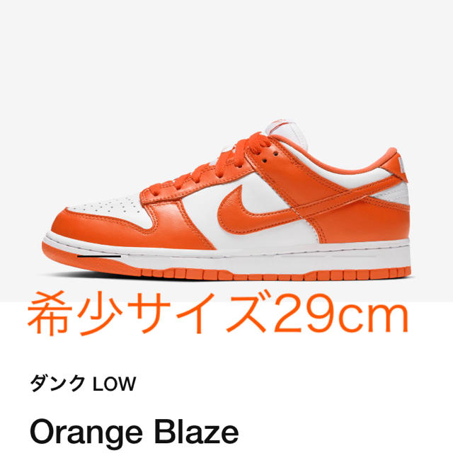 24時間限定値下げ希少Nike Dank low Orange 29cm