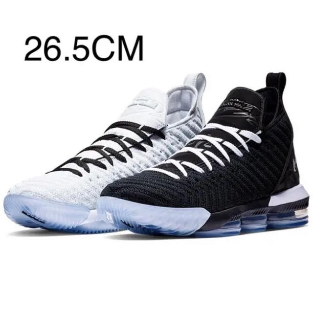 NIKE LEBRON 16  EQUALITY    ナイキ レブロン 16