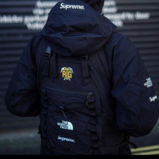 シュプリーム(Supreme)のSupreme The North Face RTG vest(ベスト)