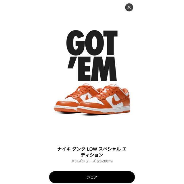 メンズNIKE DUNK LOW SP SYRACUSE OrangeBlaze30