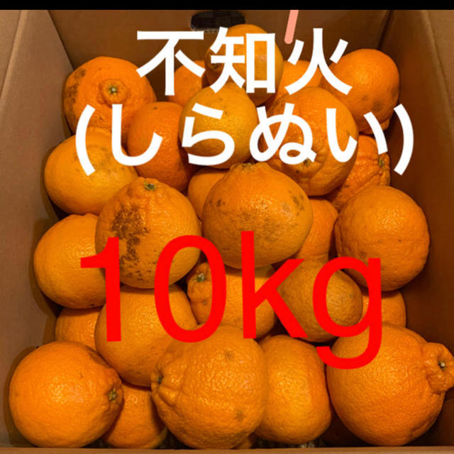 和歌山県 訳あり傷あり不知火(しらぬい)約10Kg 食品/飲料/酒の食品(フルーツ)の商品写真