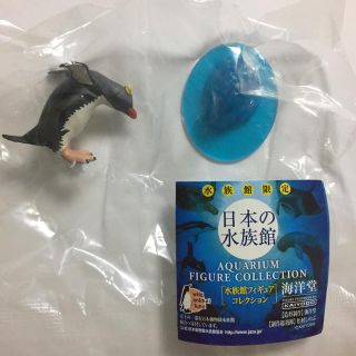 カイヨウドウ(海洋堂)の▷新品▷水族館フィギュア イワトビペンギン(その他)