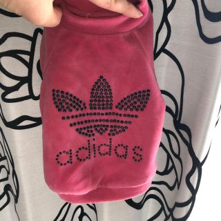 アディダス(adidas)のアディダスファッション(ペット服/アクセサリー)