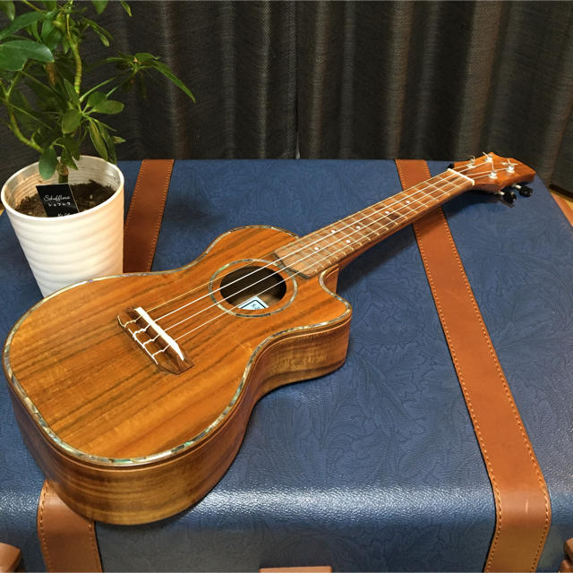 ウクレレ キワヤ商会K-301Cハワイアンギターの通販 by もそもそ's shop 2月末まで発送ストップ｜ラクマ