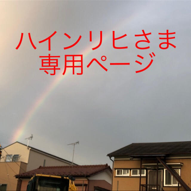 100%本物 ANA(全日本空輸) ハインリヒさま専用ページ 1/3 - 航空機