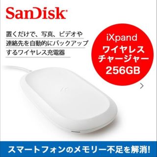 サンディスク(SanDisk)のixpand charger(バッテリー/充電器)