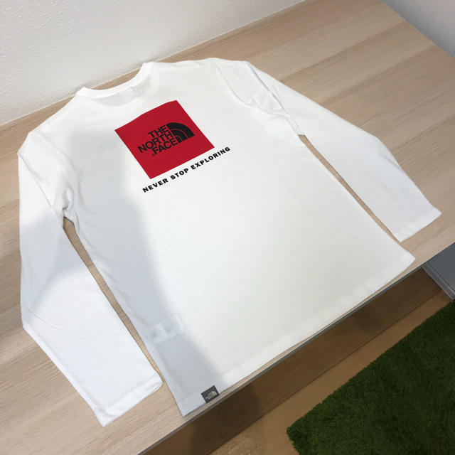 新品THE NORTH FACEザノースフェイス　ロンT 長袖Tシャツ日本未発売