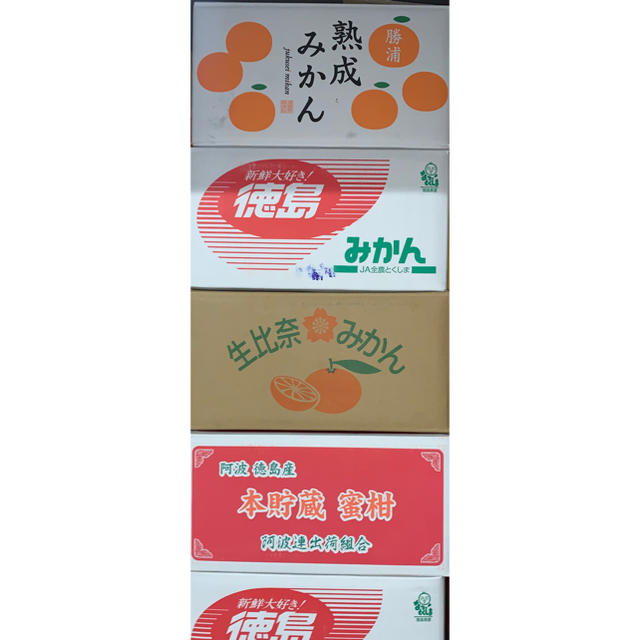 徳島県　訳あり傷ありみかん約10Kg 食品/飲料/酒の食品(フルーツ)の商品写真