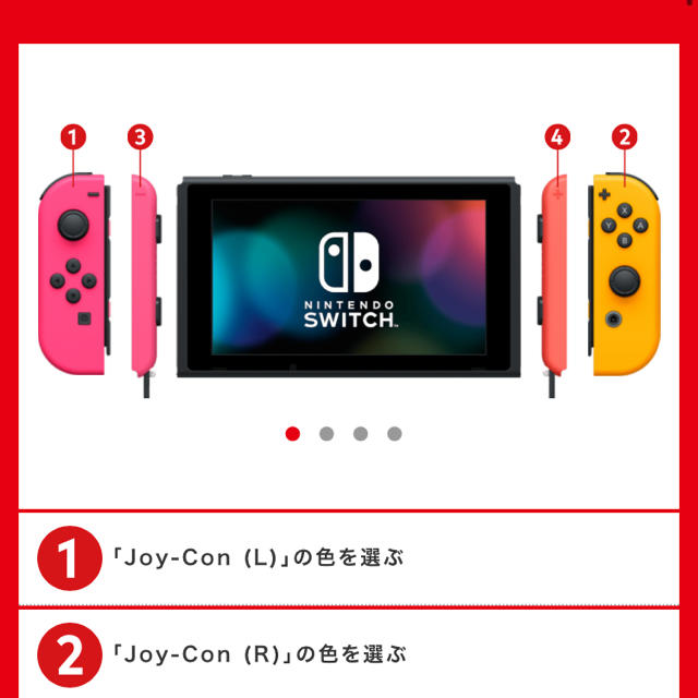 ニンテンドーSwitch カスタマイズ