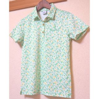 パラディーゾ(Paradiso)のパラディーゾ レディース ゴルフウェア M ✨美品✨(ウエア)