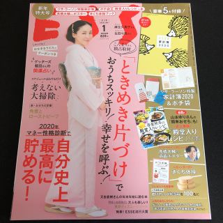 ESSE (エッセ) 2020年 01月号(生活/健康)