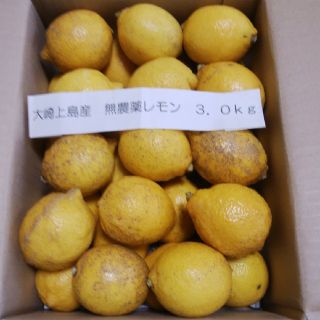 広島県大崎上島産無農薬レモン3.0kg(フルーツ)